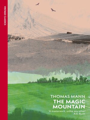 cover image of The Magic Mountain